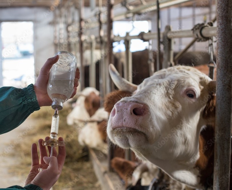 Non-Veg Milk