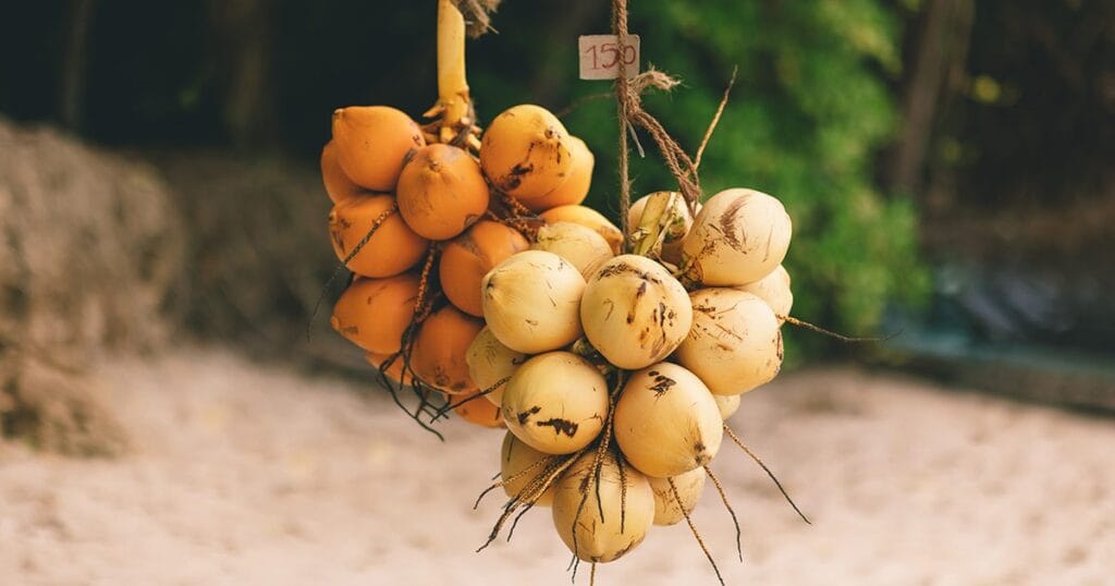 Best Natural Remedies